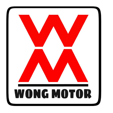 wong_motor