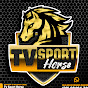 TV SPORT HORSE