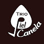 Trio Piel Canela Tehuacán 