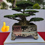 bonsai quốc huy