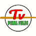 PINAL FULBE TV