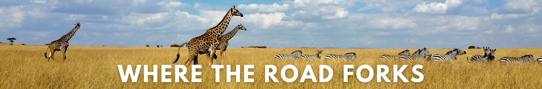 Where The Road Forks Banner