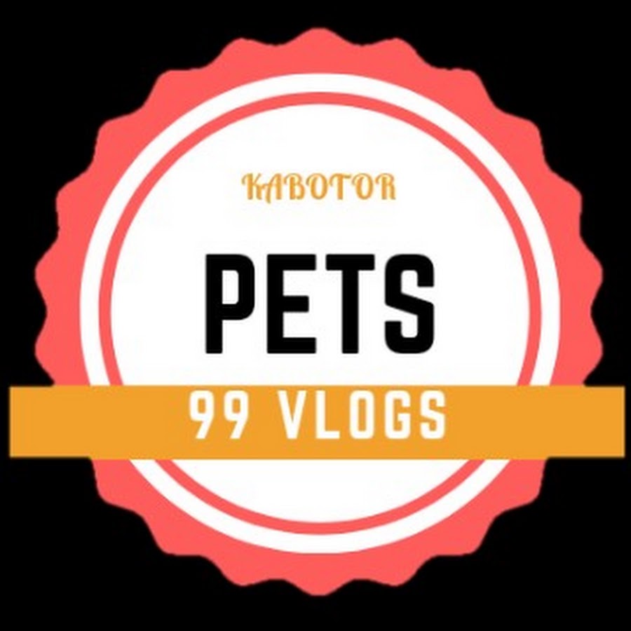 Pet 99 update
