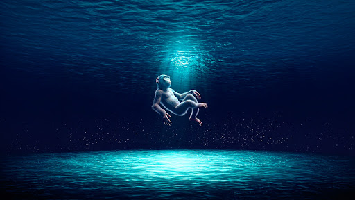 チャンネルバナー