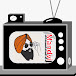 Mandvi TV