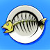 logo Fishbones