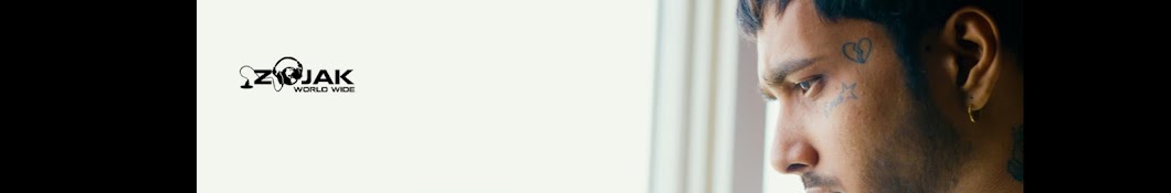 MC INSANE Banner