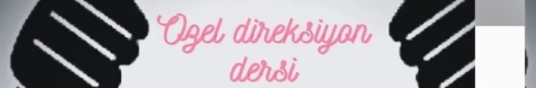 Direksiyonegitmeniduygu