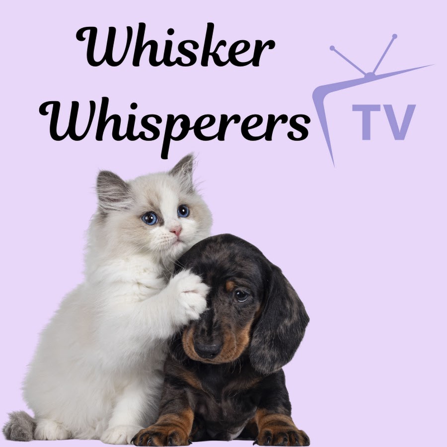 Whisker Whisperers  TV 