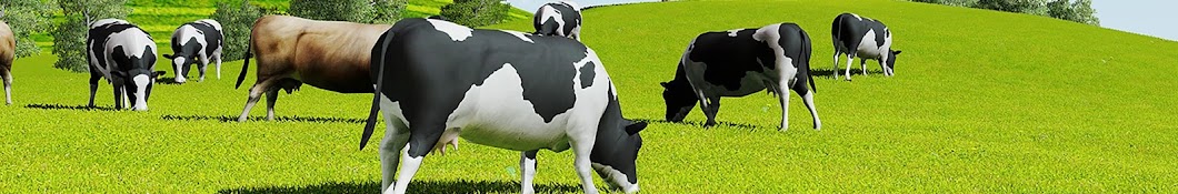 Creative COW