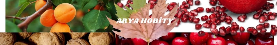 Arya hobim tv