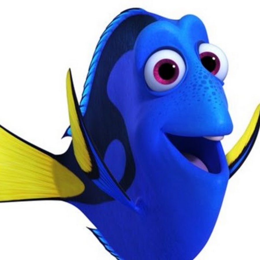 aquarium design aquarium fish at home @akvaryumexpress
