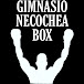 GIMNASIO NECOCHEA BOX