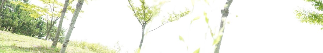 Mini Forest 미니포레스트 Banner