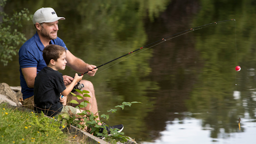 Banner image for Kawartha Lakes