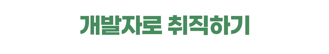 개발자로 취직하기