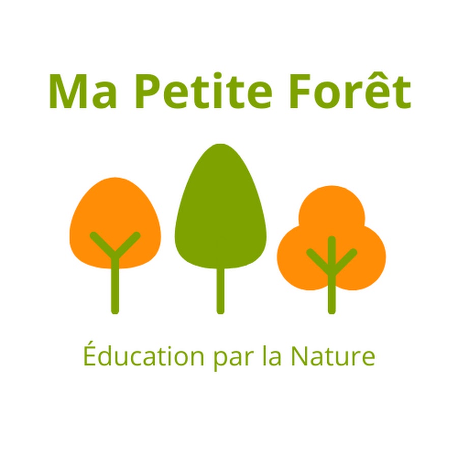 Ecole-forêt : Que Faire Avec Le Bambou ? - Ma Petite Forêt