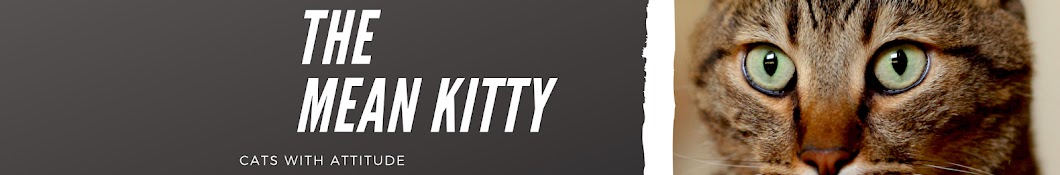 TheMeanKitty Banner