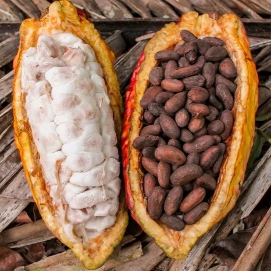 какао из доминиканы