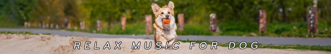 Heal My Dog