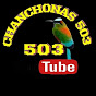 Chanchonas 503