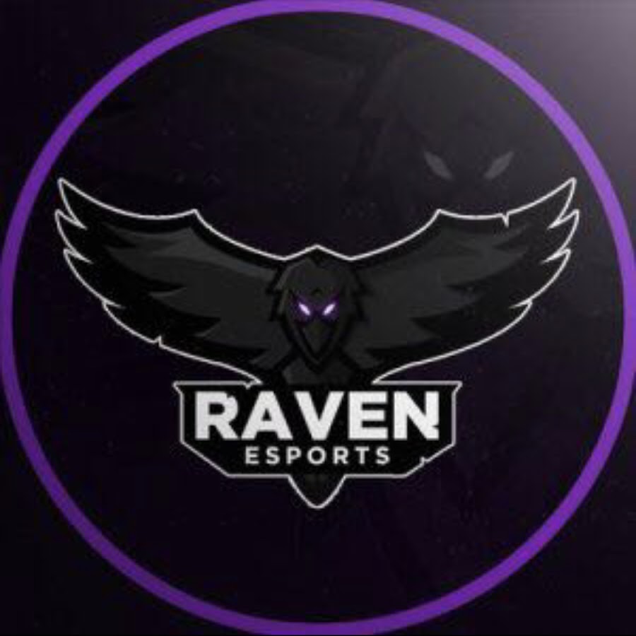 Raven team 18. Raven бренд молодёжной одежды.