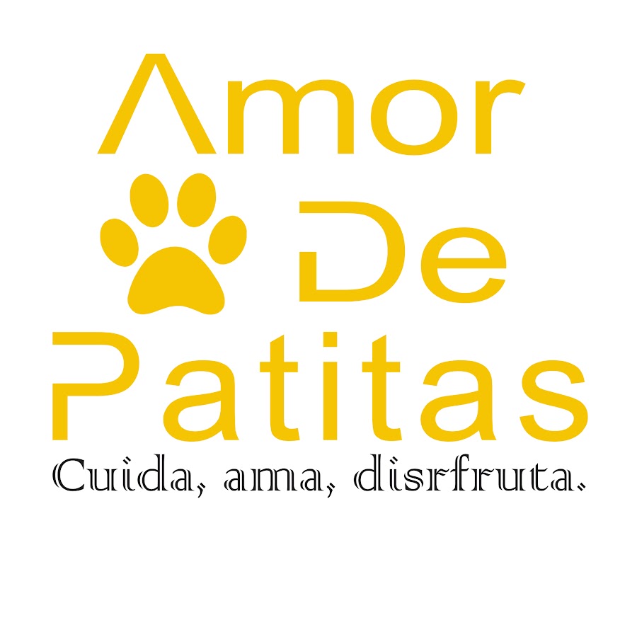 Amor de Patitas - YouTube Amor de Patitas