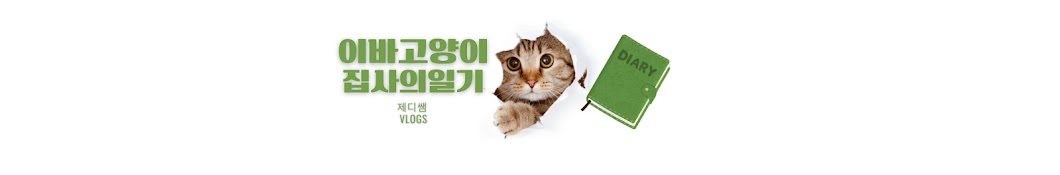 제디쌤, 고양이 집사의 일기