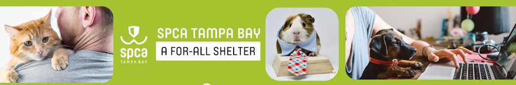 SPCA Tampa Bay