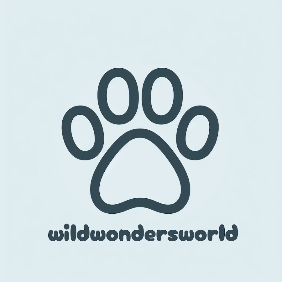 Wild wonders world - YouTube