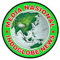 Indoglobe tv