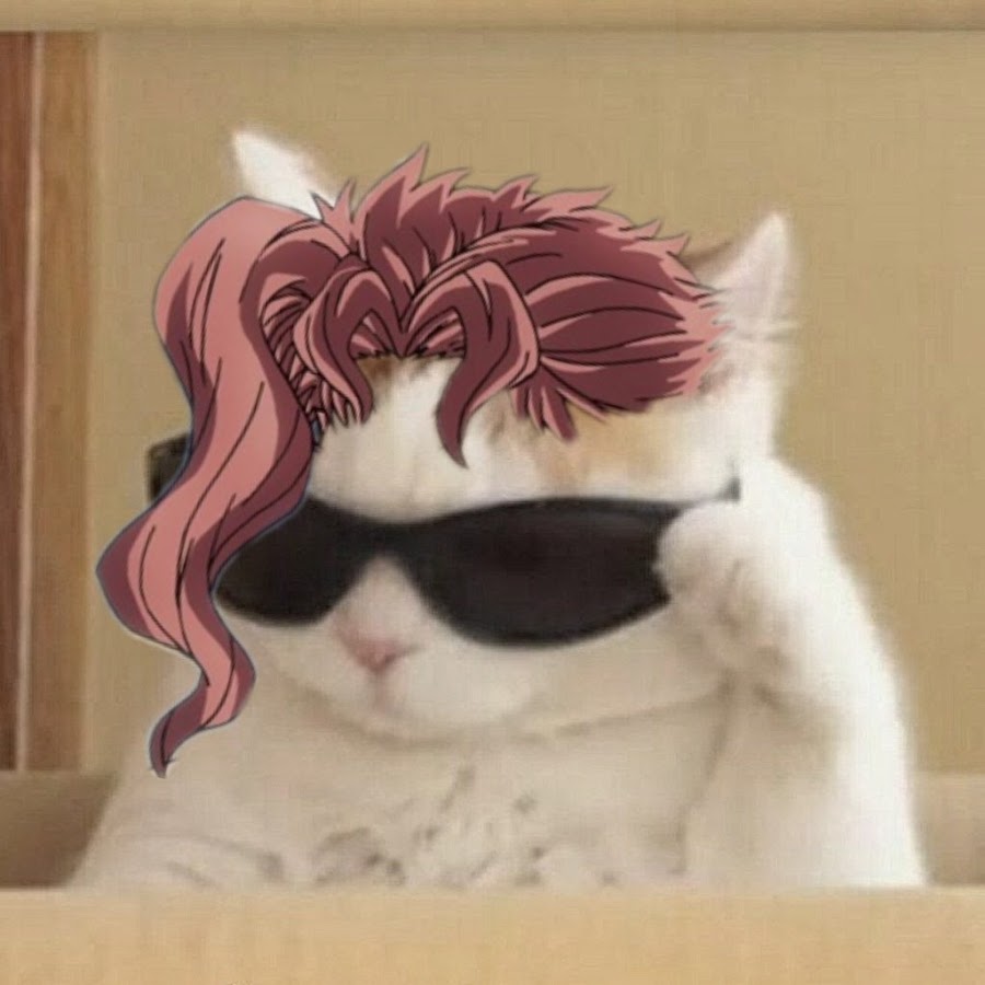 Крутой кот в очках Мем