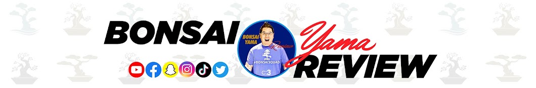 Bonsai Yama Review Banner