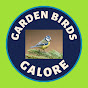 Garden Birds Galore