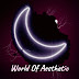 logo World Of Aesthetic