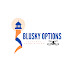 BluSky Options LLC