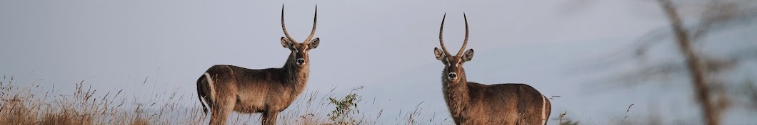 Babanango Game Reserve