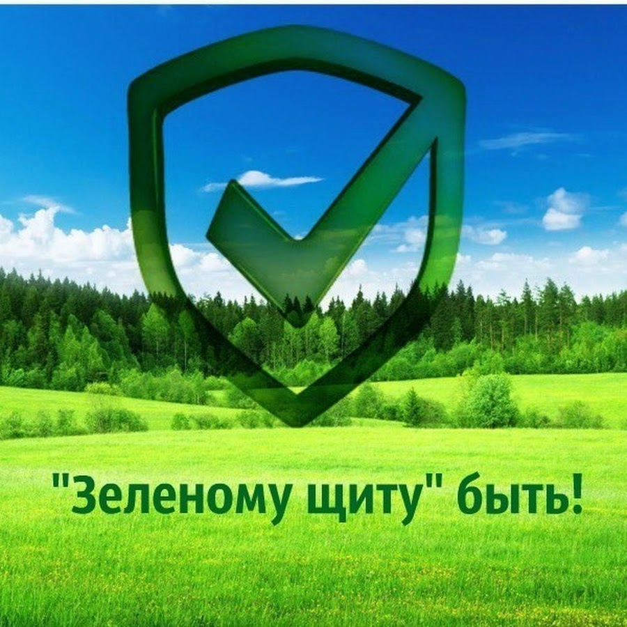 Зеленый щит. Зелёный щит Альметьевск. Зеленый щит мозг. Ов зеленый щит.