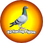 BD Racing Pigeon