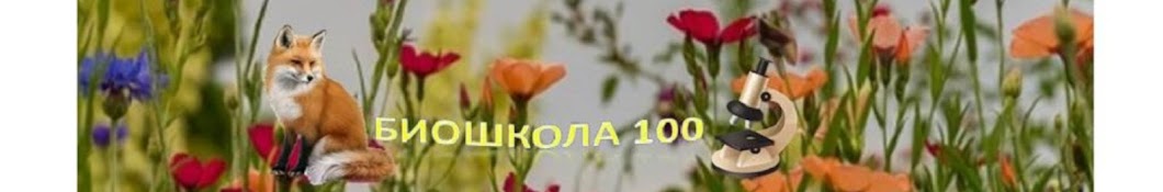 Биошкола 100