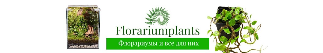 Florariumplants - флорариумы