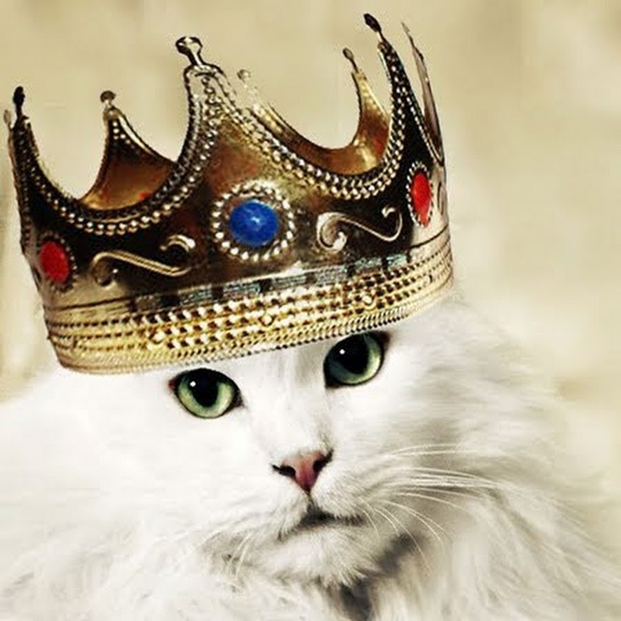 Кот в короне с сигарой