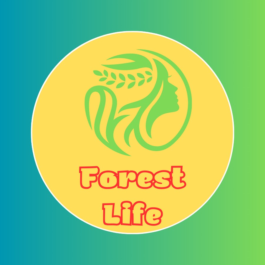 forest life ct ep 72