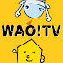 WAO! TV