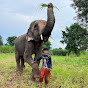 ศิริมงคล Sirimongkol Elephant