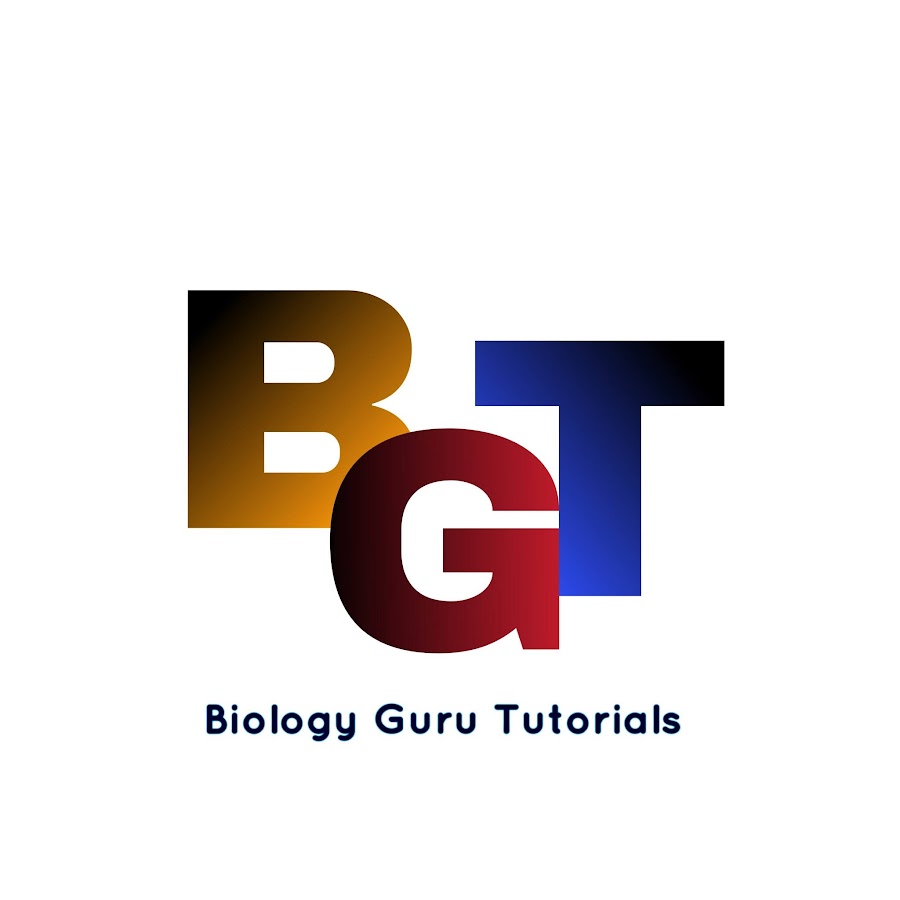 Biology Adventure - YouTube Biology Adventure