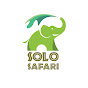 Solo Safari