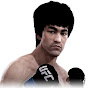 UFC Bruce Dragon Lee