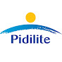 Pidilite - CSR (Corporate Social Responsibility)