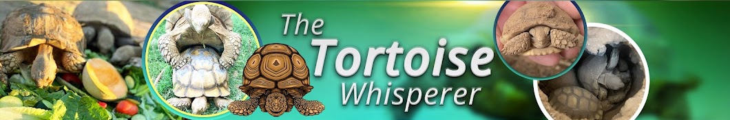 The Tortoise Whisperer Banner